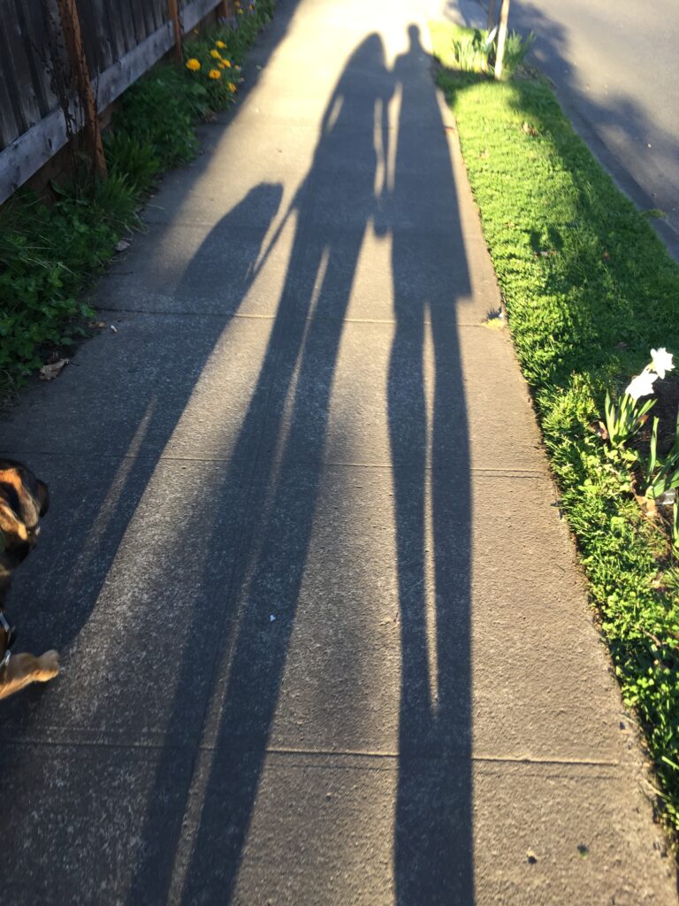 shadows of a dog woman and man stretching out over a sidewalk
