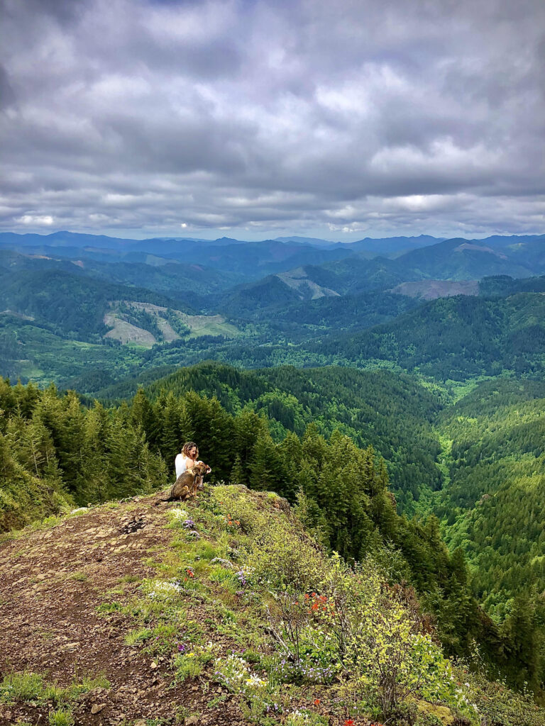 view from a mountain top with a woman and dog looking sitting in the foreground